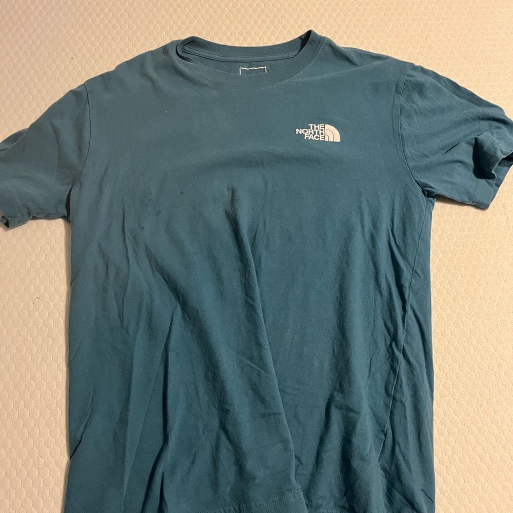 The north face snake graphic tee